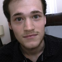 David - Picture 2