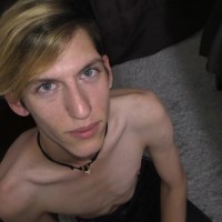 Joey - Picture 2