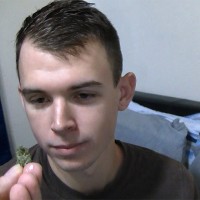 Chris Gets - Picture 2