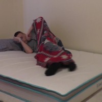 Cordon gets fucked - Picture 1