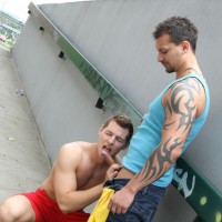 Greg and Tony - Picture 4