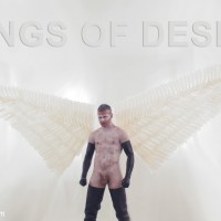 Wings Of Desire - Picture 18