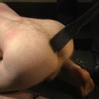 Jonah Marxgets fucked by Seamus O'Reilly - Picture 13