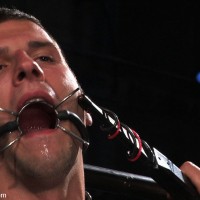 Horny Gay Bear - Picture 16