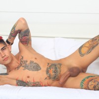 Max Stiven solo - Picture 12