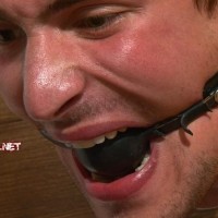 Guy - Picture 7
