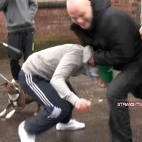 Toby - Picture 5
