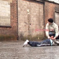 Toby - Picture 6
