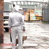 Toby - Picture 2