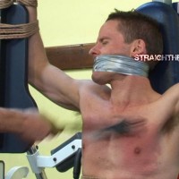 Todd - Picture 15