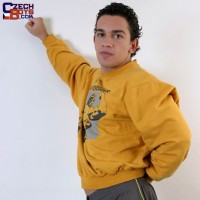 Latin muscle stud - Picture 1