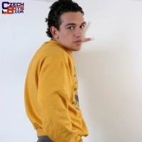 Latin muscle stud - Picture 3