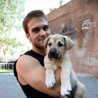 Pornstars and puppy dogs - Picture 7