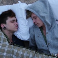 Max And Jake's Roadstrip - Picture 20