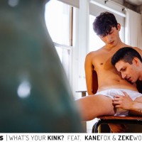 What's your kink? - Picture 1