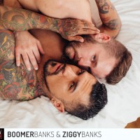 Boomer Banks & Ziggy Banks - Picture 1