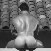 Ed Dinakos - Picture 11