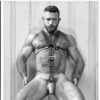 Colt Studio vintage pics - Picture 6