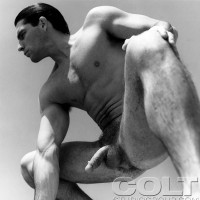 David Grey - Picture 14