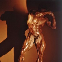 Chris Dickerson - Picture 1