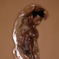 Chris Dickerson - Picture 2