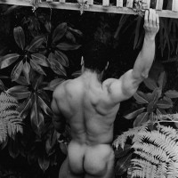 Chris Dickerson - Picture 14