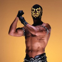 Mike Pereyra - Picture 11