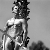 Gardner Shore - Picture 11