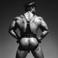 Rod Roddick - Picture 2