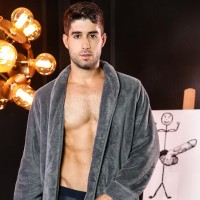 The Artist - Picture 2