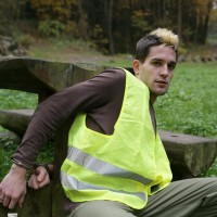 The boss - Picture 2