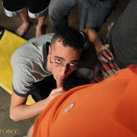 Tanner takes 5 loads - Picture 2