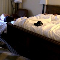 Jerk off race - Picture 10