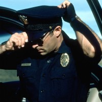 Hairy cop - Picture 3