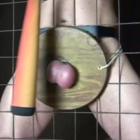 Ball on hard wood - Picture 10