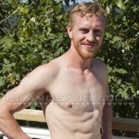 Ginger - Picture 8