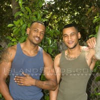 King Brothers - Picture 6