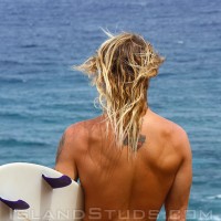 Kip - Picture 3