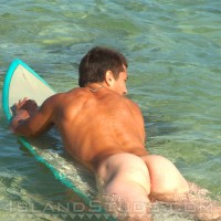 Kody - Picture 6