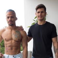 Hugo & Douglas - Picture 2