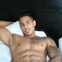 Yandry - Picture 6