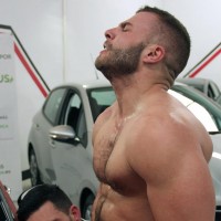 Bravado - Picture 11
