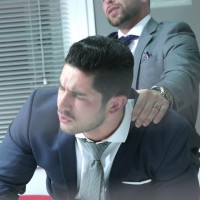 Flip - Picture 7