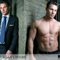 Bailey's Return - Picture 4