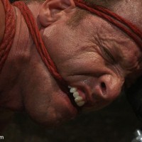 Onyx and Redz - Picture 8