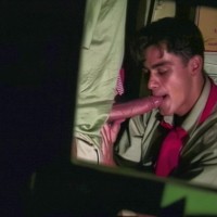 Wide Open - Picture 3