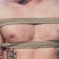 Trent Diesel - Picture 4