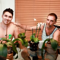 Domestic Pleasures - Picture 1