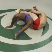 Two heavyweight fighters - Picture 2