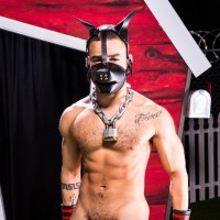 Skuff: Dog House (part 2) - Picture 5